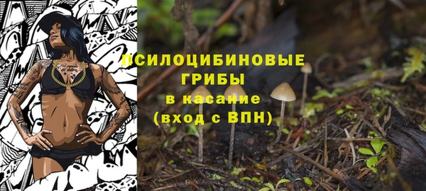 mix Белокуриха