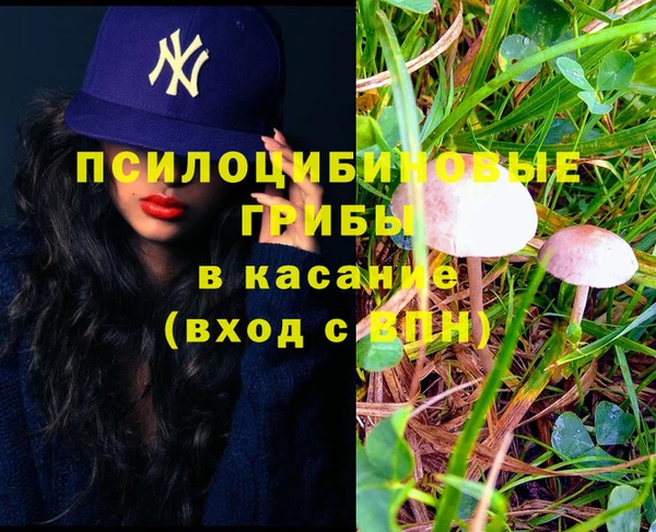 эйфоретик Белоозёрский