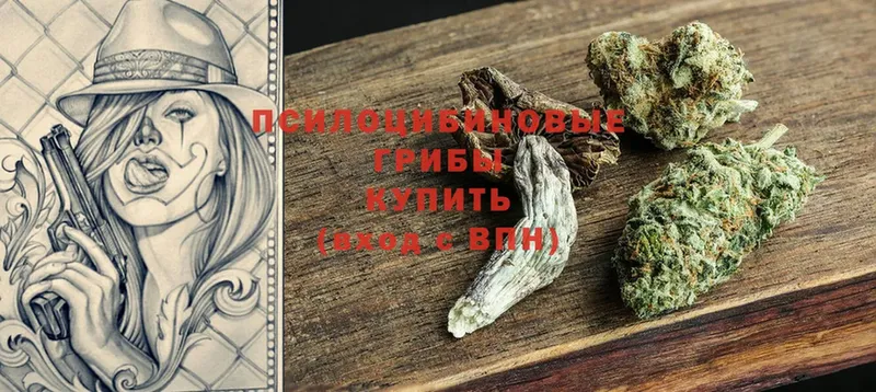 OMG вход  Давлеканово  Псилоцибиновые грибы MAGIC MUSHROOMS 