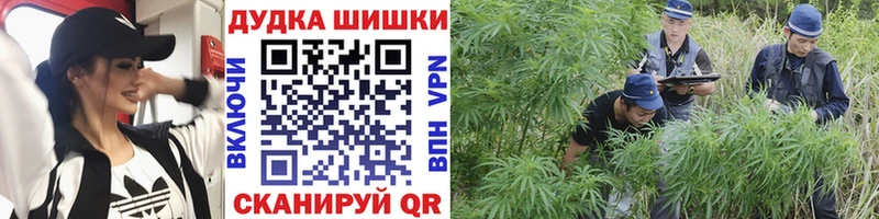 где купить наркоту  Давлеканово  Каннабис тримм 